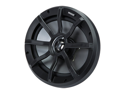 PS 6x9" 2Ω Coaxial (40PS692)