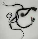 Cicada Audio Harley Davidson Street Glide Upgrade (2OHM)